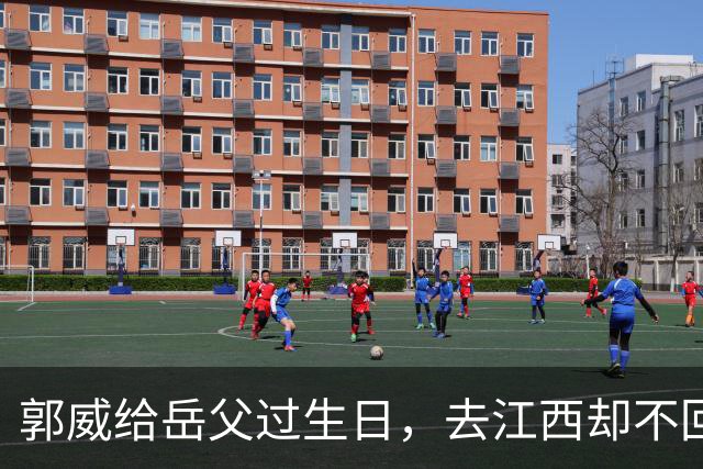 郭威给岳父过生日，去江西却不回家，许妈想开了：对儿子不指望了