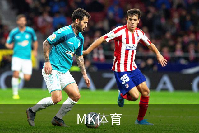 MK体育公司简介图片
